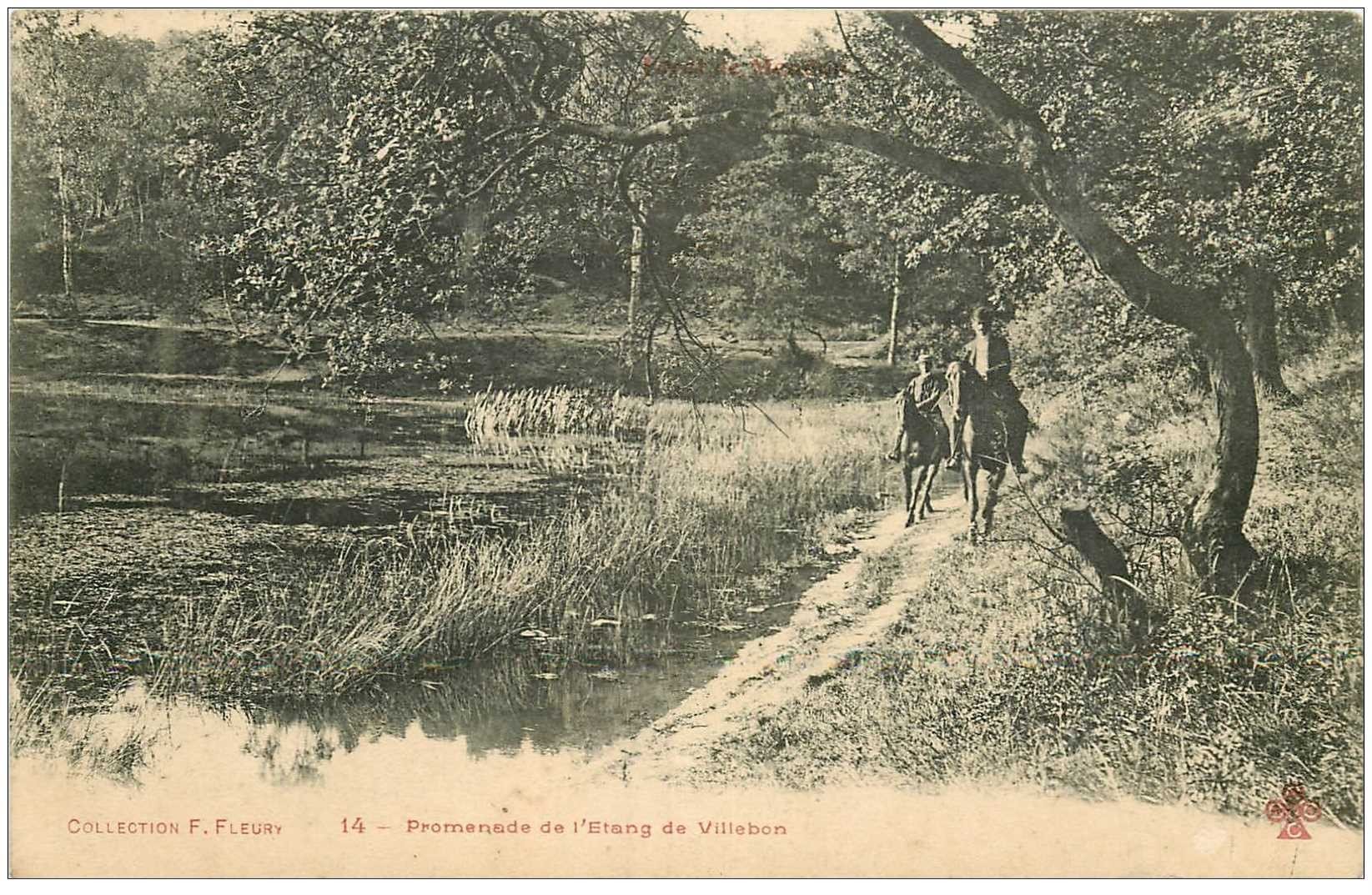 92 VILLEBON. Promenade à Cheval de l'Etang dans la Forêt de Meudon