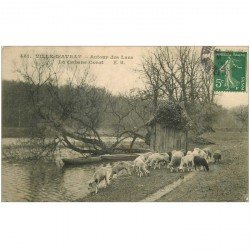 92 VILLE D'AVRAY. Moutons près de la Cabane Corot autour des Lacs 1908