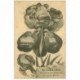 carte postale ancienne 92 SAINT CLOUD. Un Bonjour avec Fleur 1915