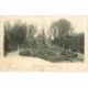 carte postale ancienne 92 SAINT CLOUD. La Cascade 1902