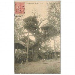 carte postale ancienne 92 ROBINSON. Le Vrai Arbre livraison de repas 1904