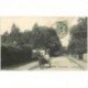 carte postale ancienne 92 ROBINSON. Attelage âne Route du Bois 1906