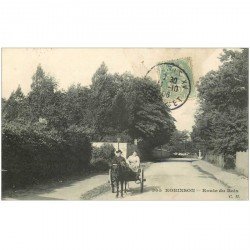 carte postale ancienne 92 ROBINSON. Attelage âne Route du Bois 1906