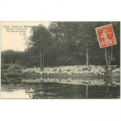 carte postale ancienne 92 MEUDON. Forêt. Moutons s'abreuvant à l'Etang 1913