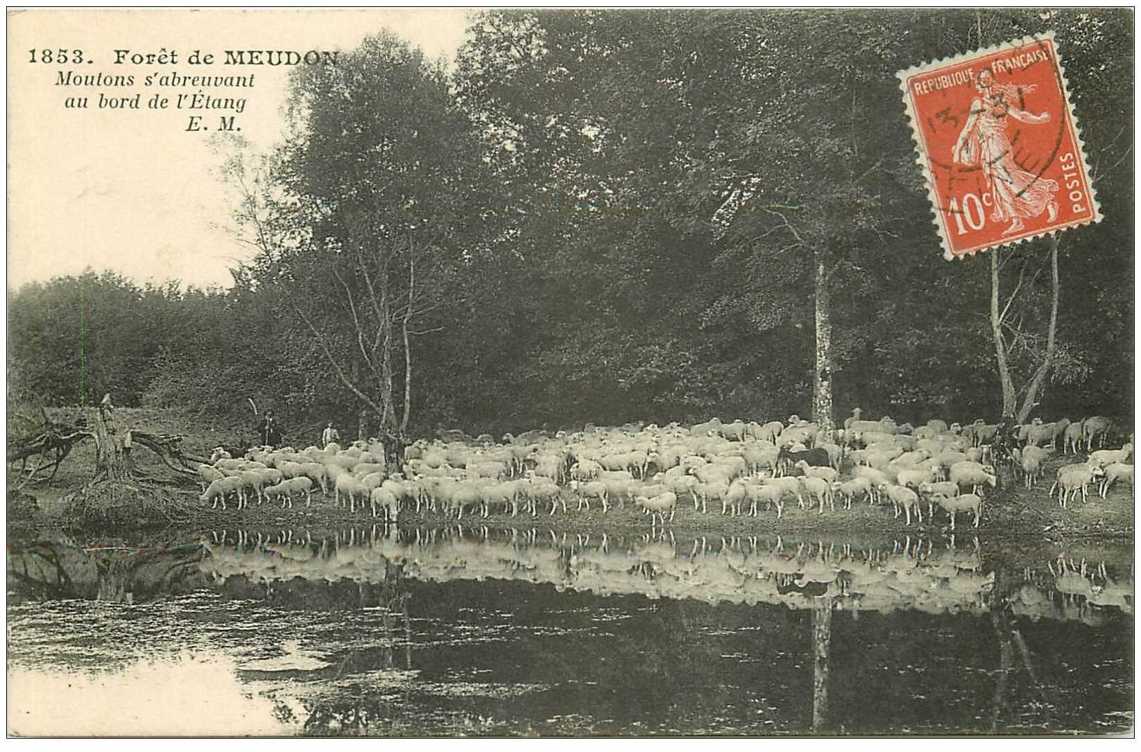 carte postale ancienne 92 MEUDON. Forêt. Moutons s'abreuvant à l'Etang 1913
