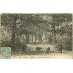 carte postale ancienne 92 CLAMART. Ramasseurs de Châtaignes dans le Bois 1905
