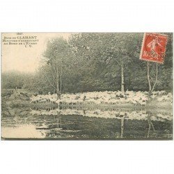 carte postale ancienne 92 CLAMART. Moutons s'abreuvant au bord de l'Etang 1918
