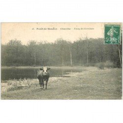 carte postale ancienne 92 CHAVILLE. Forêt de Meudon. Une Vache bord de l' Etang des Ecrevisses 1908
