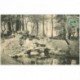 carte postale ancienne 92 BOULOGNE SUR SEINE. Rochers du Jardin de la Mairie 1907 animation