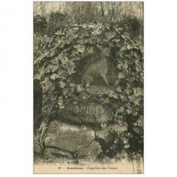 carte postale ancienne 92 ASNIERES SUR SEINE. Cimetière des Chiens. Jappy