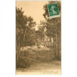 carte postale ancienne 80 BRIGHTON FRANCAIS. La Forêt de Sapins animation 1913