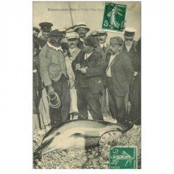 80 CAYEUX SUR MER. Pêche d'un Dauphin de 200 kg 1909