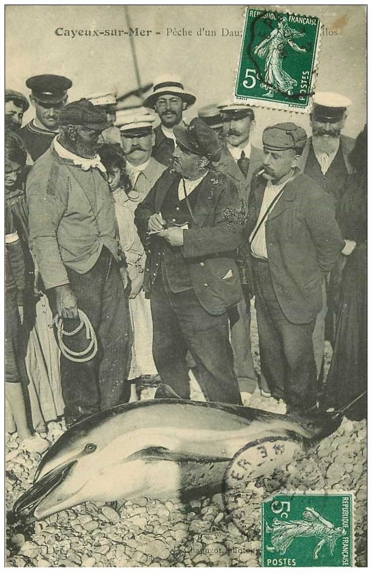 80 CAYEUX SUR MER. Pêche d'un Dauphin de 200 kg 1909