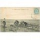 carte postale ancienne 80 CAYEUX-SUR-MER. Chercheurs de Crabes 1907