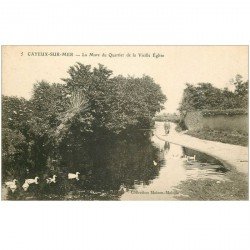 carte postale ancienne 80 CAYEUX-SUR-MER. La Mare du Quartier de la Vieille Eglise