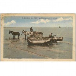 carte postale ancienne 80 CAYEUX-SUR-MER. Le Débarquement du Poisson de la Barque à l'Attelage 1929. Pêche et Pêcheurs
