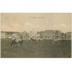 carte postale ancienne 80 MERS-LES-BAINS. Chevaux dans la Prairie 1908