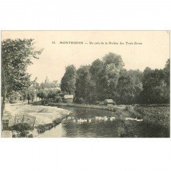 carte postale ancienne 80 MONTDIDIER. Canards sur un coin de Rivière des Trois Doms