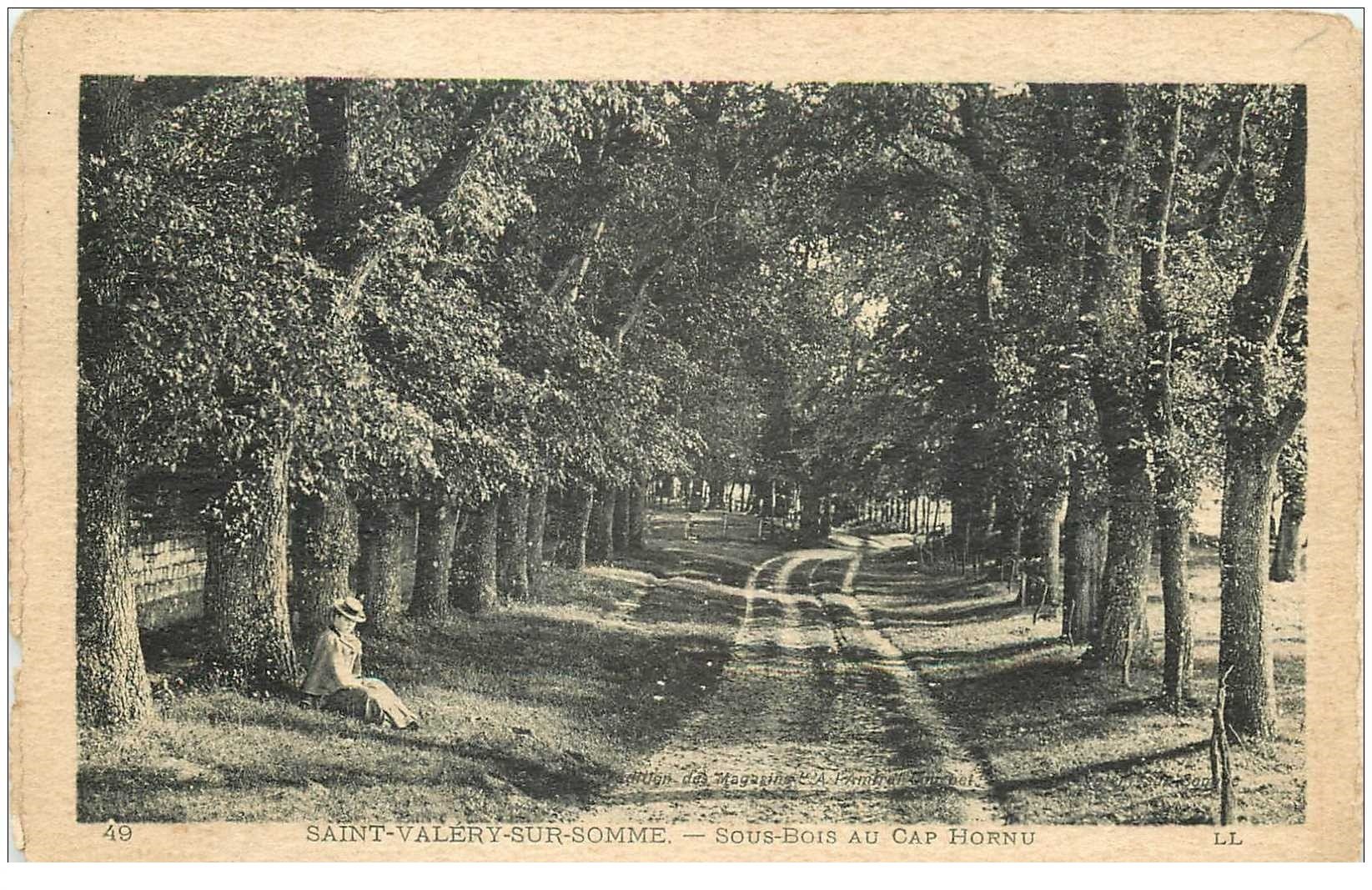 carte postale ancienne 80 SAINT-VALERY-SUR-SOMME. Sous-Bois au Cap Hornu averc Elégante assise.