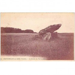 carte postale ancienne 85 BRETIGNOLLES SUR MER. Dolmen la Pierre levée