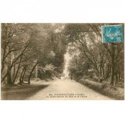 carte postale ancienne 85 ILE DE NOIRMOUTIER. Route centrale Bois de Chaize 1926