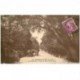 carte postale ancienne 85 ILE DE NOIRMOUTIER. Route Plade Bois de Chaize 1933