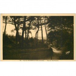 carte postale ancienne 85 ILE DE NOIRMOUTIER. Vue du Gaillardin arrivée du Car