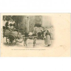 85 LANGON. La carrosserie chez les Maraîchins. Attelage à Ane vers 1900.