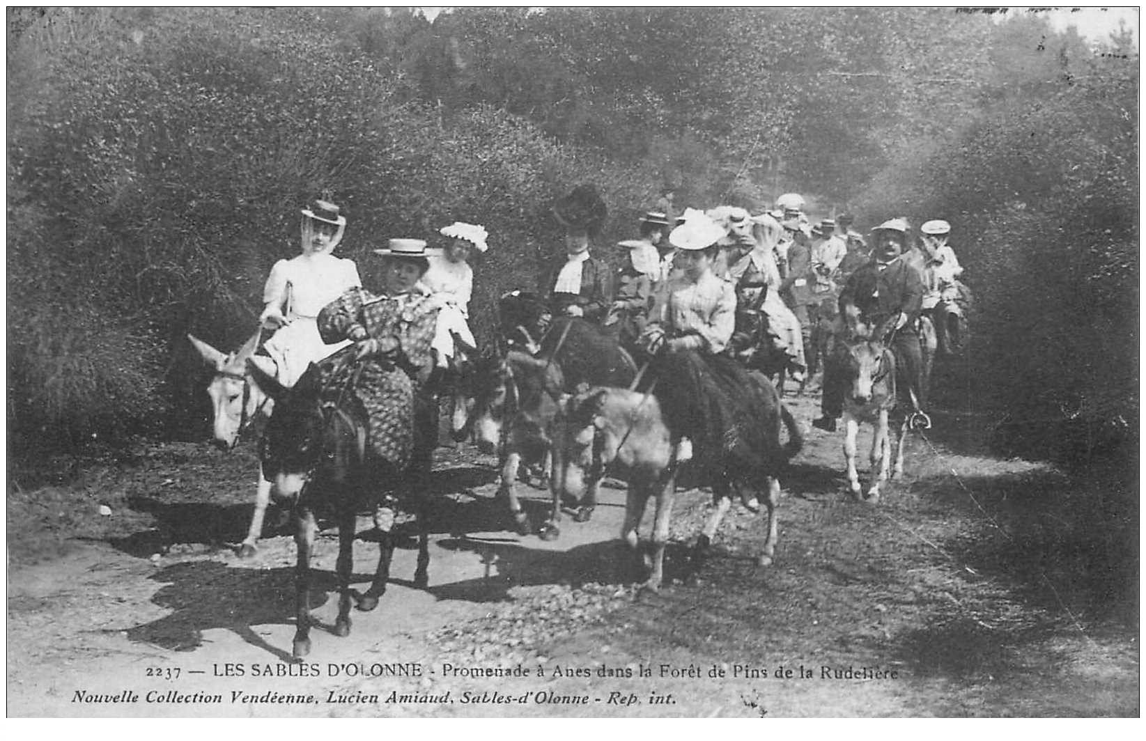 85 LES SABLES D'OLONNE. Promenade Anes Forêt Pins de la Rudelière 1910