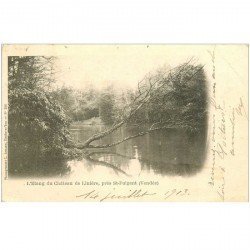 carte postale ancienne 85 LINIERE. Etang du Château timbre Taxe 1903