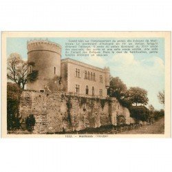carte postale ancienne 85 MAILLEZAIS. Le Castel
