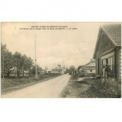 carte postale ancienne 85 NOTRE-DAME-DE-MONTS. Avenue de la Plage vers le Bois de Sapins 1937 anomation