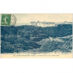 carte postale ancienne 85 SAINT GILLES SUR VIE. Chalets Scoff et Bois de Pins 1922