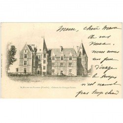 carte postale ancienne 85 SAINT HILAIRE DE TALMONT. Château de Granges Cathus 1901