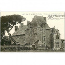 carte postale ancienne 85 SAINT SULPICE LE VERDON. Château de la Chabotterie