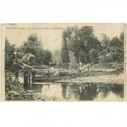 carte postale ancienne 85 VOUVENT. Vallée du Petit Château Lavandières et Maraichers