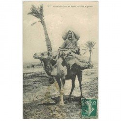 carte postale ancienne Algérie. Méhariste dans les Oasis du Sud Algérien vers 1910