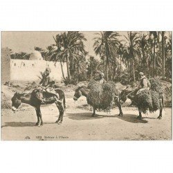 carte postale ancienne EGYPTE. Retour à l'Oasis avec Dattes sur mules ou nes