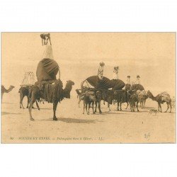 carte postale ancienne Maroc. Palanquins dans le Désert Méhari de Chameaux