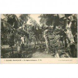 carte postale ancienne GUINEE. Un régime de bananes