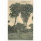 carte postale ancienne TANZANIE. Palms Palmiers à Daressalam