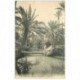 carte postale ancienne TUNISIE. Pont sur l'Oued à Chenini 1912