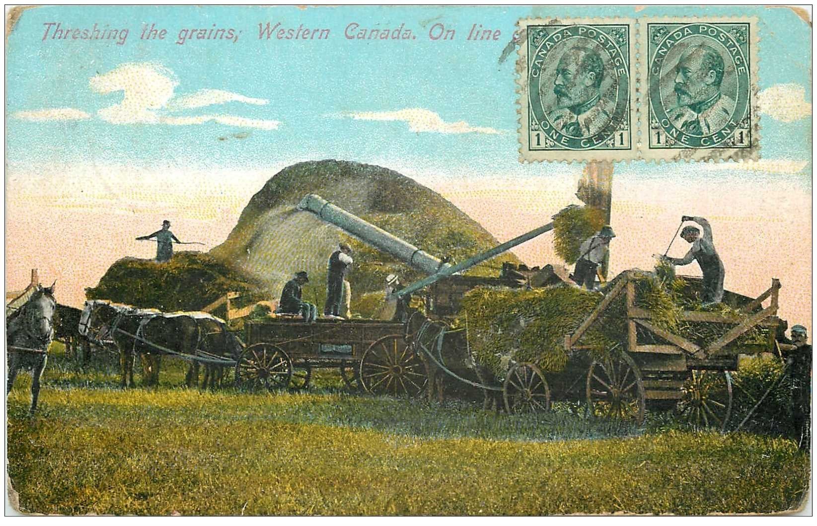 carte postale ancienne CANADA. Threshing the grains Western Canada on line 1910