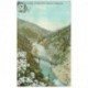 carte postale ancienne CALIFORNIA. Wild Azalias Feather River Canyon 1932