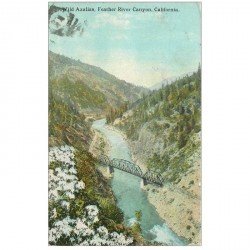 carte postale ancienne CALIFORNIA. Wild Azalias Feather River Canyon 1932