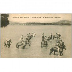 carte postale ancienne ETATS UNIS. Vermont. Swimming with Horses at Ecole Champlain. Ferrisburg