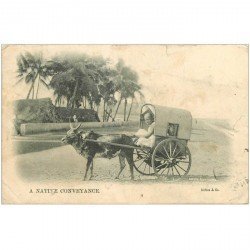 carte postale ancienne INDE. A native Conveyance. Attelage de Zébu 1908 (état moyen)...