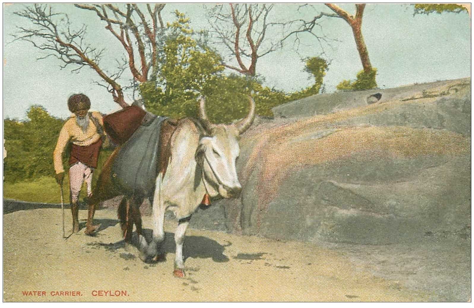 carte postale ancienne INDE. Ceylan Ceylon. Water Carrier avec Zébu Porteur d'eau