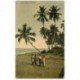 carte postale ancienne INDE. Colombo. Sea Shore. Minuscule pli coin droit inférieur...