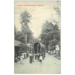 carte postale ancienne INDE. Colombo. Street scene Marandine attelage de Zébus